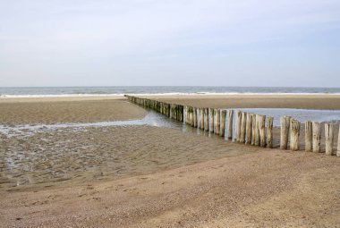 Dalga kırıcı sahilde ahşap kazıkyapılmış, Renesse, Nether
