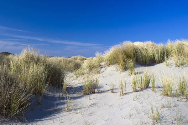 Kum tepeleri, Renesse, Zeeland, Hollanda — Stok fotoğraf