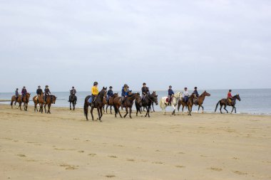 riders on horses on the beach in Renesse, Zeeland, the Netherlan