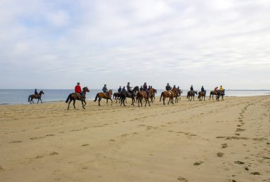 Hollanda, Renesse 'deki sahilde at binicileri