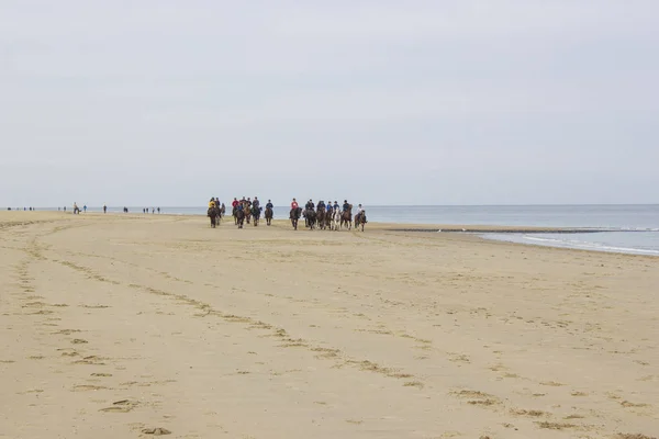 Cavaleiros em cavalos na praia em Renesse, Países Baixos — Fotografia de Stock