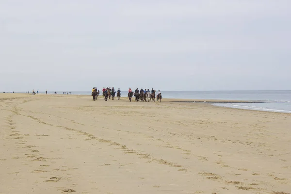 Jinetes a caballo en la playa de Renesse, Países Bajos — Foto de Stock