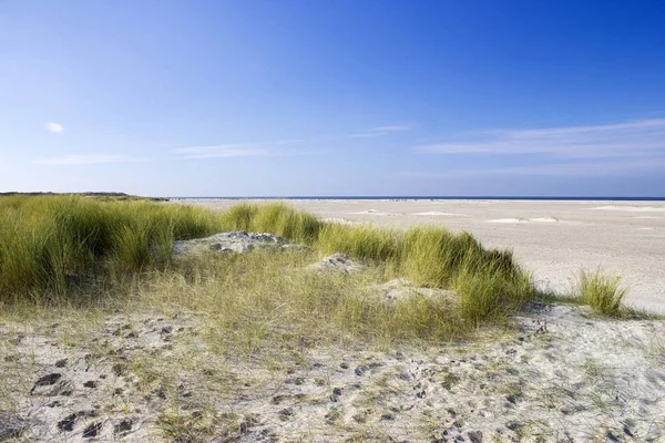 The dunes, Renesse, Zeeland, the Netherlands — Stock Photo, Image