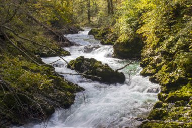 vintgar gorge Slovenya