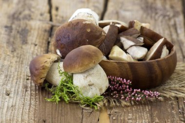 Bir kasede taze mantar (boletus)