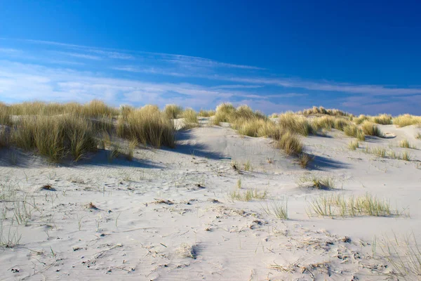 Dunes Renesse Zeeland Netherlands — Stock Photo, Image