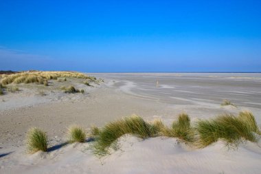 Kum tepeleri, Renesse, Zeeland, Hollanda
