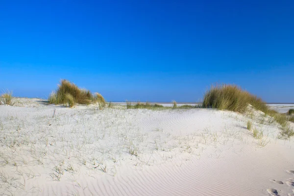 Duny Renesse Zeeland Nizozemsko — Stock fotografie