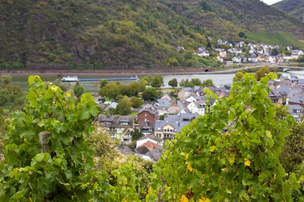 Almanya Nın Rhineland Palatinate Kentindeki Moselle Nehri Ile Treis Karden — Stok fotoğraf