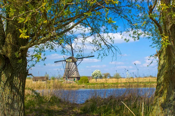 Landelijk Landschap Met Windmolens Bekende Kinderdijk Nederland Dit Systeem Van — Stockfoto