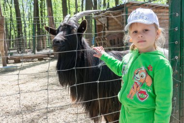 Bir çocuk, küçük bir kız, bir keçi bir demir kafes içinde hayvanat bahçesi ile beslenir. Doğa ile birlik.