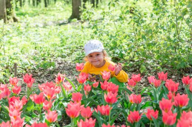 Bir çocuk, küçük bir kız bir bahar parkında güzel kokulu mercan lalelerini kokluyor..