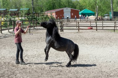 Ahırda midilli eğitiyor. At Biniciliği.