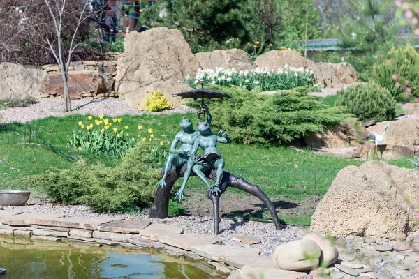 Статуя Двох Закоханих Жаб Під Парасолькою Парку Біля Ставка Стокове Фото