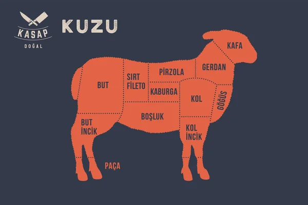 Cortes Carne Carniceiro Diagrama Esquema Kuzu Cordeiro Tipográfico Com Nomes —  Vetores de Stock