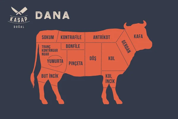 Et kesim. Poster kasap diyagram ve düzeni - Dana, sığır, inek. Tipografik parçalar Türkçe et adları ile. Vektör çizim
