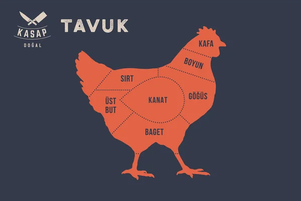 Köttet Skär Affisch Slaktare Diagram Och System Tavuk Kyckling Typografiska — Stock vektor