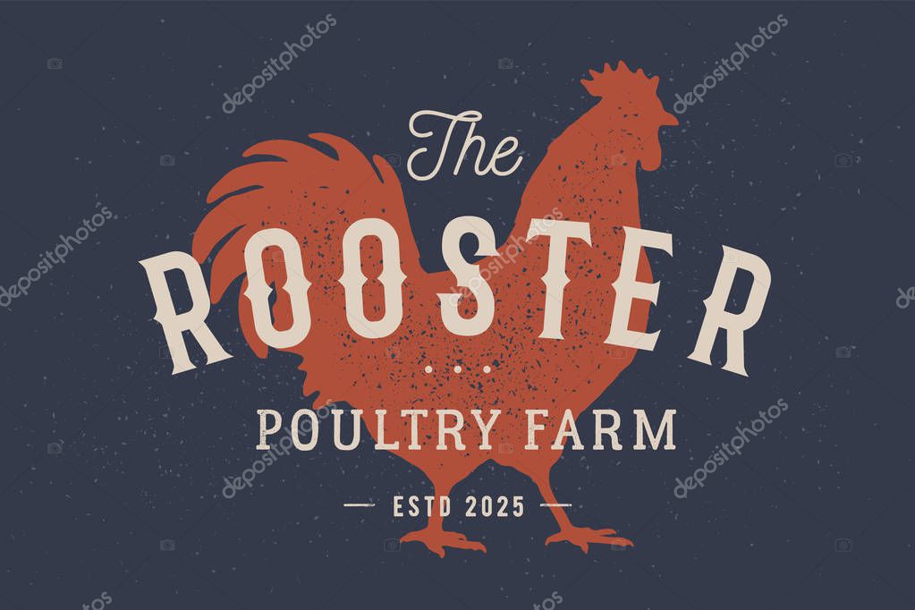 Rooster, poultry. Vintage logo, retro print, poster for Butchery meat shop with text typography Rooster, Poultry Farm, rooster silhouette. Label template rooster, hen, chicken. Vector Illustration