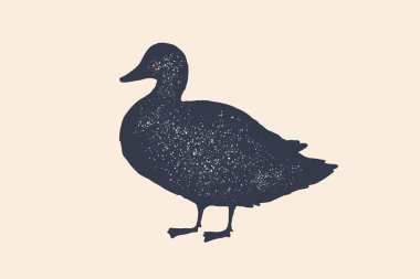Ördek, siluet. Vintage logo, retro baskı, poster kasaplık et salonu, ördek siluet için. Et iş, et dükkanı Logo şablonu. Siyah beyaz siluet ördek izole. Vektör çizim