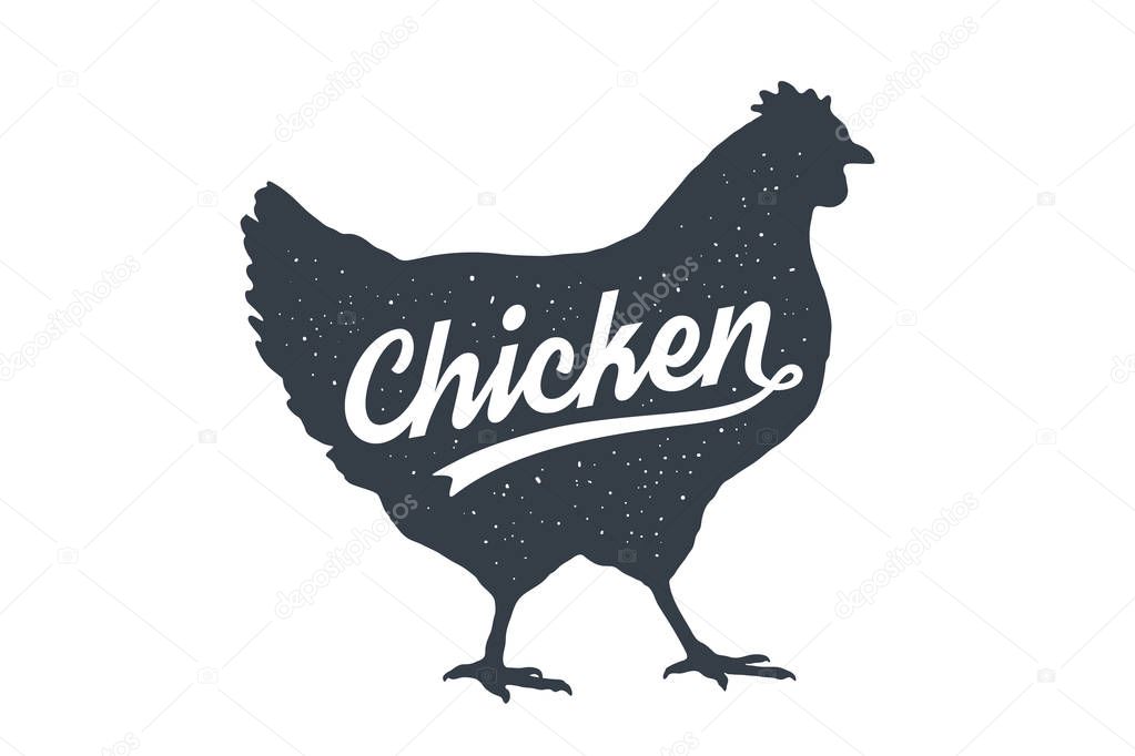 Chicken, hen, poultry. Lettering. Vintage lettering, retro print, poster for Butchery meat shop, hen chicken silhouette with lettering text Chicken. Silhouette hen for meat shop. Vector Illustration