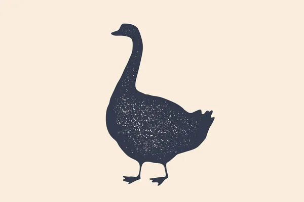 Ganso Pássaro Desenho Conceitual Animais Criação Perfil Visão Lateral Ganso —  Vetores de Stock
