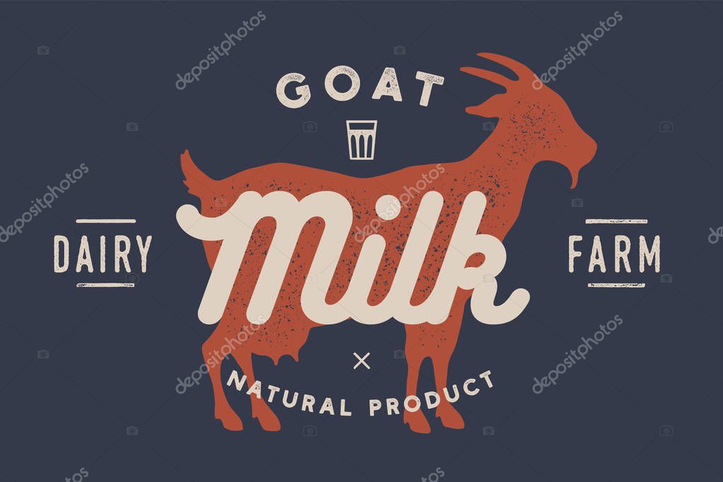 Milk, goat. Logo with goat silhouette, text Milk, Dairy farm, Organic, Natural product. Logo milk goat for dairy and meat business - shop, market. Vintage typography. Vector Illustration