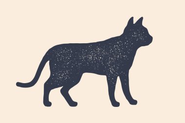 Kedi, siluet. Evcil hayvanların konsept tasarımı - Kedi veya kedi yavrusu, yan görünüm profili. Beyaz arka planda izole siyah siluet kedi veya kedi yavrusu. Vintage baskı, poster, simge. Vektör İllüstrasyonu