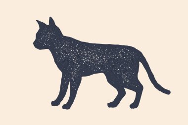 Kedi, siluet. Evcil hayvanların konsept tasarımı - Kedi veya kedi yavrusu, yan görünüm profili. Beyaz arka planda izole siyah siluet kedi veya kedi yavrusu. Vintage retro baskı, simge. Vektör İllüstrasyonu