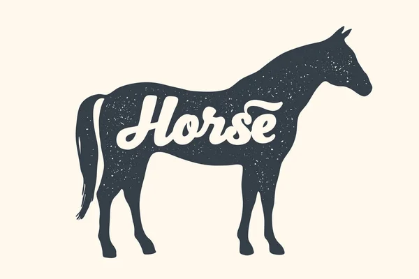 Horse Stallion Lettering Design Farm Animals Horse Side View Profile — Stock Vector