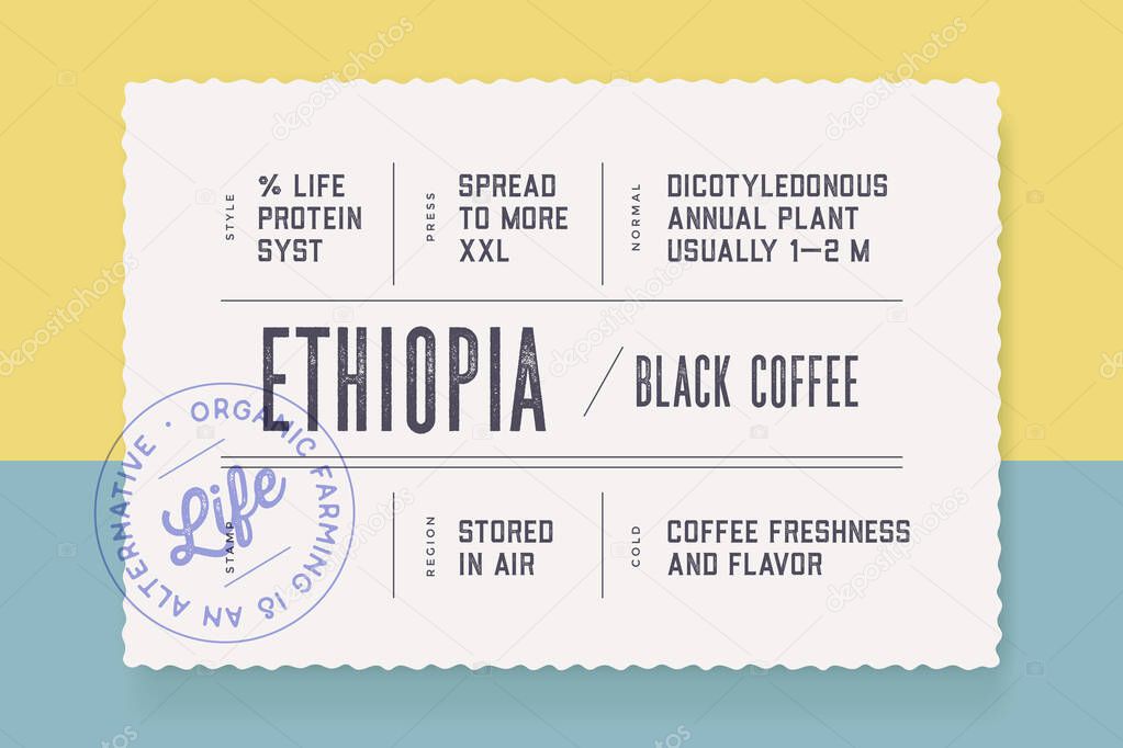 Vintage Minimal Label. Set of graphic modern vintage label, tag, sticker for brand, logo, packing. Retro design minimal label, tag or card, classic old school style, typography. Vector Illustration