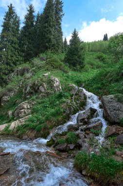 almatı yakın Haziran ayında butakovsky watterfall yakın nehir