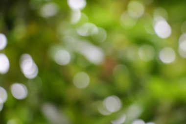 Bokeh doğal renk sıcak arka plan kopya alanı ile.