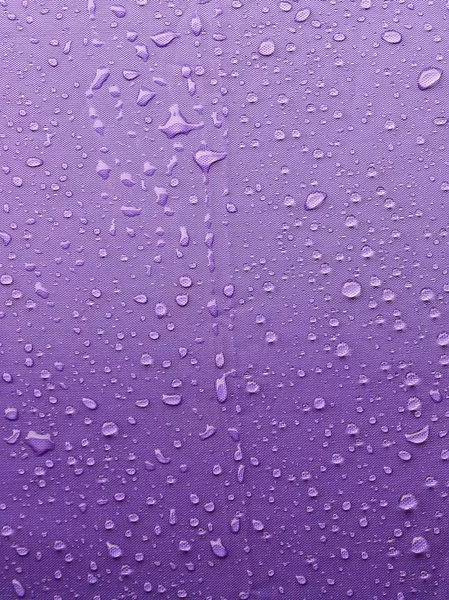 Regen Waterdruppel Paarse Paraplu Achtergrond Met Kopie Ruimte Voor Tekst — Stockfoto