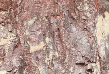 Taş doku cliff Dağı'nın güzel desen arka planı için.