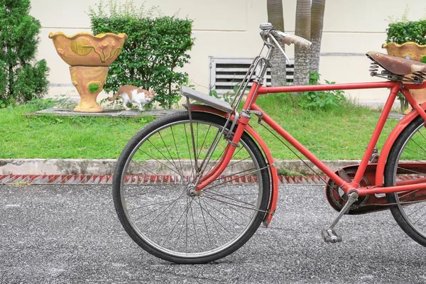 Bisiklet kırmızı Klasik vintage eski kopya alanı olan güzel metin ekleme