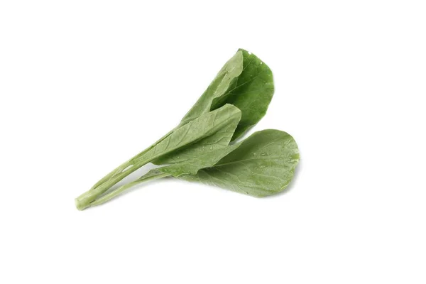 Kinesiska Kale Färska Grönsaker Och Droppe Vatten Lämnar Vit Bakgrund — Stockfoto