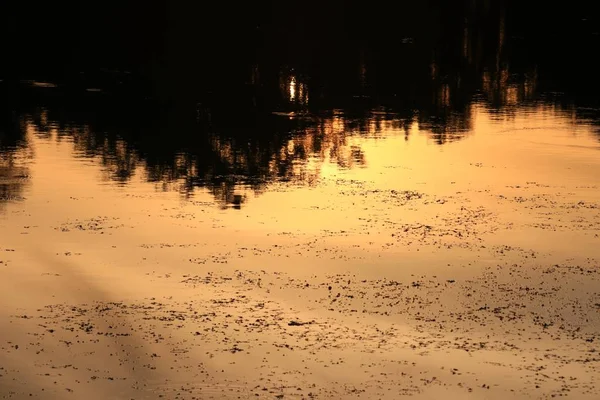 水中的倒影河与影子树美丽的日落自然 — 图库照片