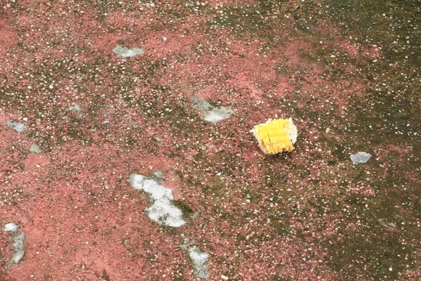 Mısır ile kemirilmiş karınca patika üzerinde terk etti