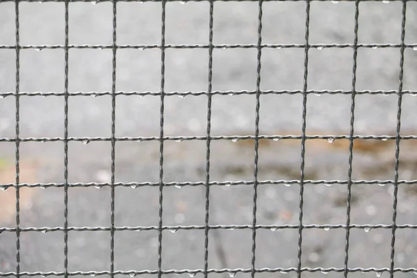 çelik kopya alanı ile net üzerinde yağmur damlası