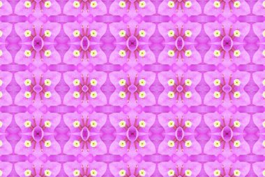 güzel seamless modeli basit arka plan çiçek