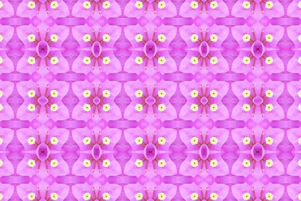 güzel seamless modeli basit arka plan çiçek