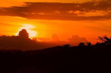 günbatımı güzel renkli manzara siluet ağaç dağ ve gökyüzünde twilight saat