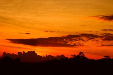 günbatımı güzel renkli manzara siluet ağaç dağ ve gökyüzünde twilight saat