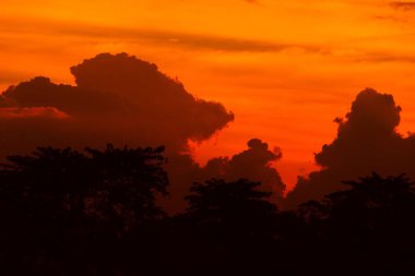 günbatımı güzel renkli manzara siluet ağaç dağ ve gökyüzünde twilight saat