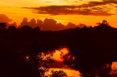 günbatımı güzel renkli manzara ve siluet ağaç su yansıma gökyüzünde twilight saat