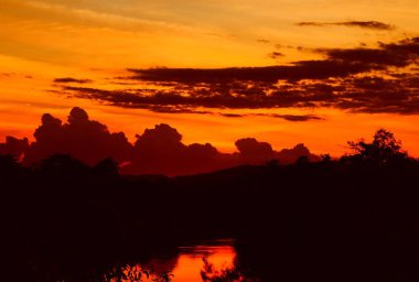 günbatımı güzel renkli manzara ve siluet ağaç su yansıma gökyüzünde twilight saat