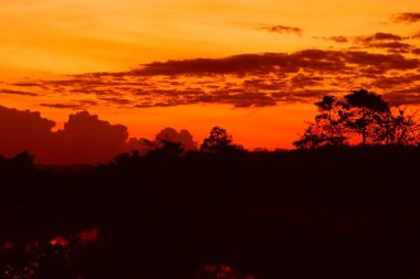 günbatımı güzel renkli manzara siluet ağaç dağ ve gökyüzünde twilight saat