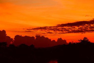 günbatımı güzel renkli manzara siluet ağaç dağ ve gökyüzünde twilight saat