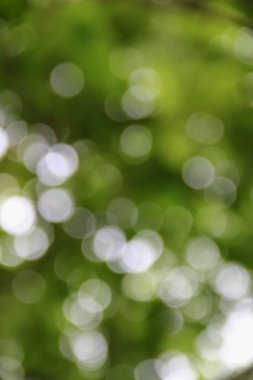 Bokeh soyut güzel doğa sıcak arka plan kopya alanı ile.