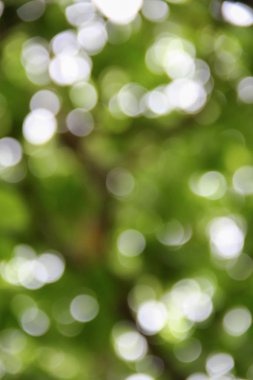 Bokeh soyut güzel doğa sıcak arka plan kopya alanı ile.